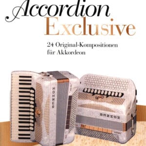 Accordion on the mountain 1